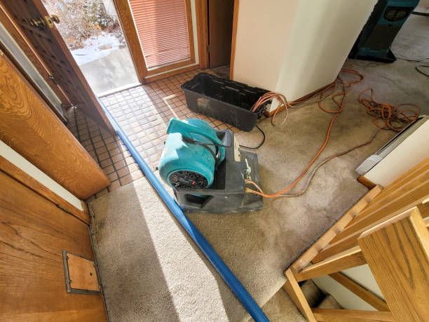 Best Flood restoration services  in Jasper, TX