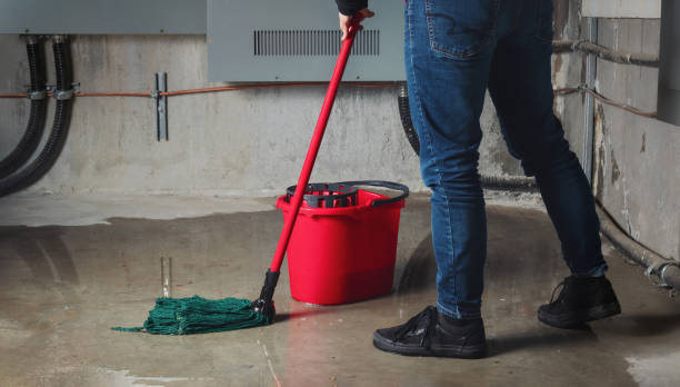 Best 24-hour water damage restoration  in Jasper, TX