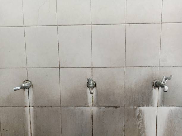 Best Flood damage cleanup  in Jasper, TX