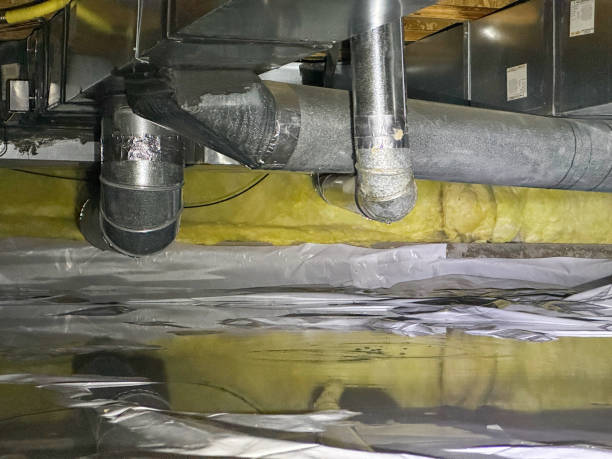 Best Water damage restoration near me  in Jasper, TX
