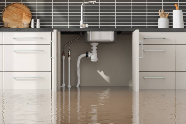 Trusted Jasper, TX Water damage restoration Experts