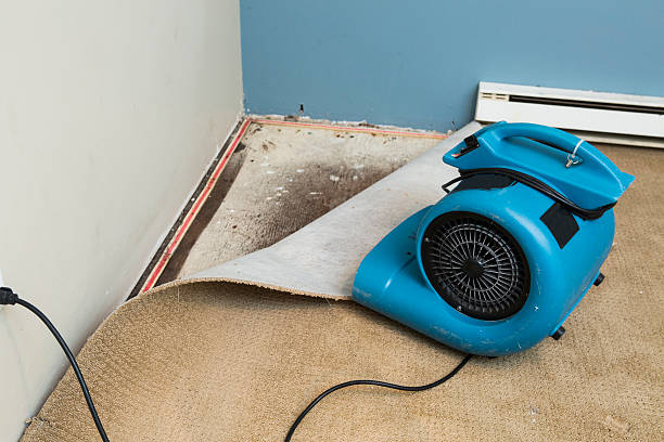 Local water damage restoration in Jasper, TX